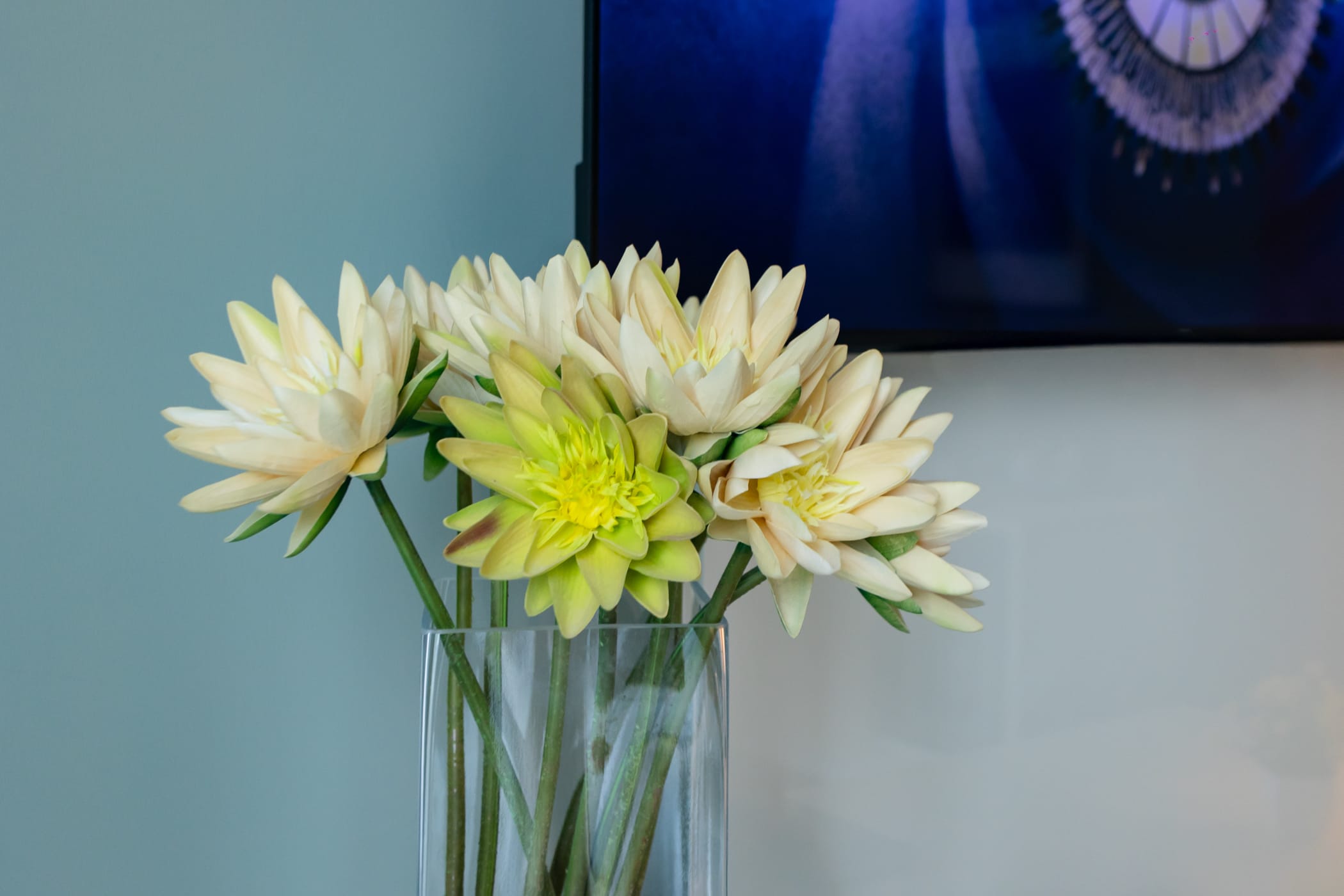 An melegnano camere 21 an hotels - milano business hotels di design a milano - an hotels